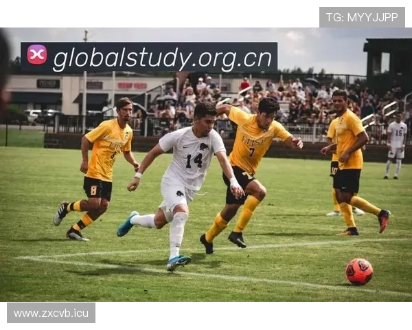 ✅体育直播🏆世界杯直播🏀NBA直播⚽- 海南省气象台发布海上雷雨大风黄色预警信号- sports